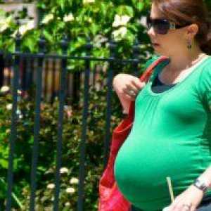 33 Седмици от бременността: а болка стомаха