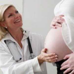 33 Седмица от бременността корем с