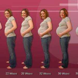 35 Седмици бременни: корем