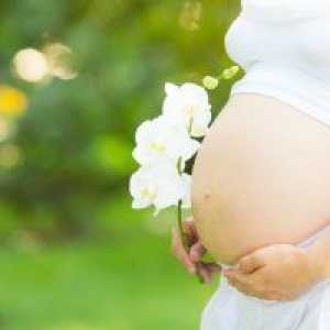 38 Седмици бременни: корем