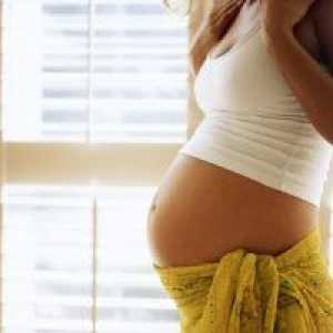 38 Седмица от бременността корем с