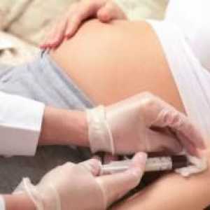 AFP при бременни жени