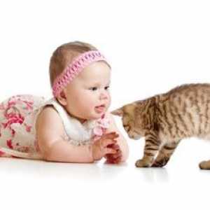 Алергия Cat при деца