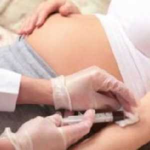 Антитела по време на бременност