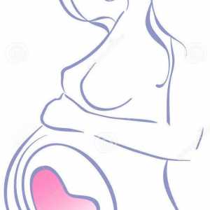Свободно Webinar за бременни: как и какво да прави с бебето преди раждането?