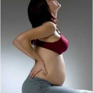 Ниска болки в гърба по време на бременност