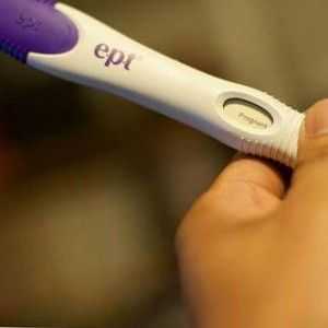 Колко дни след зачеването тест, бременност шоу? Какви изследвания са най-чувствителни и точни?