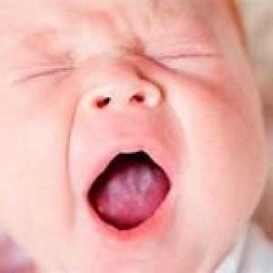 Какво трябва да знаете за новородените устата си?