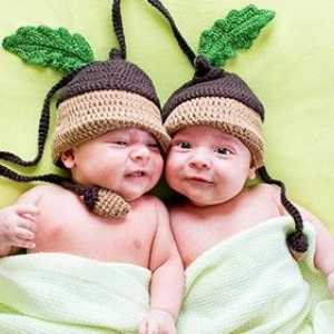 Феноменът на близнаци и близнаци: основните разлики, образованието и забавни факти