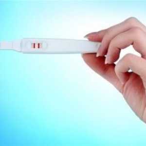 Тест Фото бременност