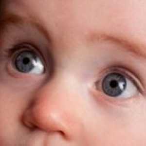 Очите на новороденото