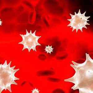 Червените кръвни клетки в кръвта на дете