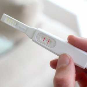 Защо мечтата на тест за бременност