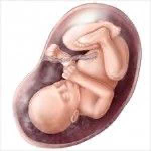 Стойността се определя от смущение: как е бебето в утробата
