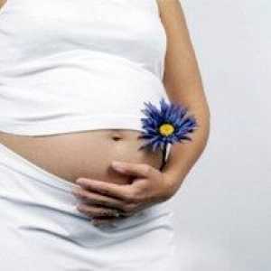 Как действа на женското тяло по време на бременност?
