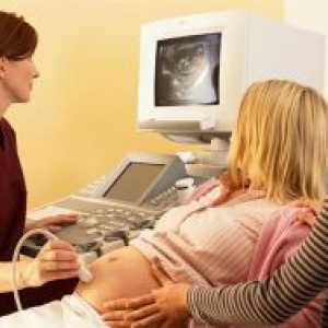 Как да се повиши през плацентата по време на бременност?