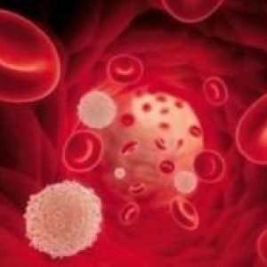 Как да се увеличи на белите кръвни клетки в кръвта на детето