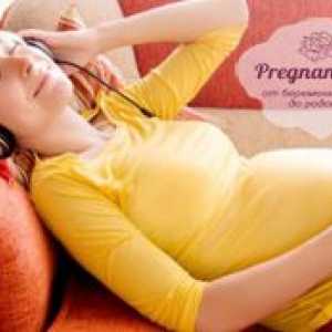 Как да се харчат оставите бременна майчинство с полза?