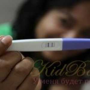 Как да избера най-подходящия тест за бременност - кой е по-добър, по-точни и по-чувствителни