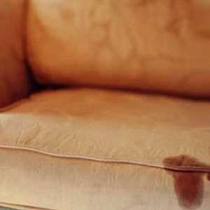 Как да се извлече миризмата на котка урина от дивана