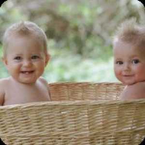 Как да зачене близнаци?