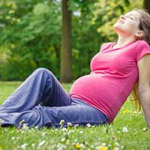 Какво тестове преминават по време на бременност