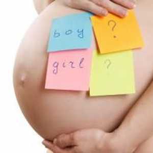 Когато в стомаха по време на бременност?