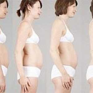 Когато стомахът се вижда по време на бременност