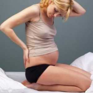 Лечение на хемороиди след раждането
