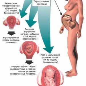 Медикаменти по време на бременност