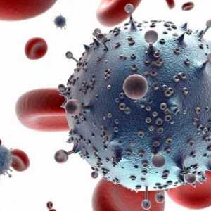 Лимфоцитите в кръвта на детето - какво влияние, каква е тяхната норма