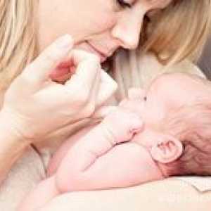 Мама и новороденото: комуникация с първите дни