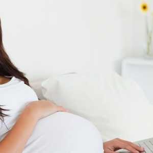 Майчинство капитал при раждане на първо дете - размерът на плащанията при раждане на близнаци