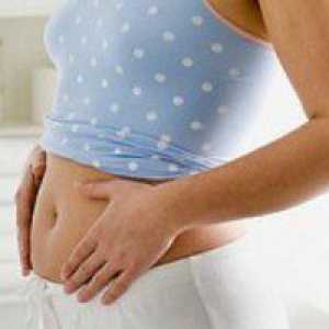 Daub на 5 седмици бременна