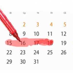 Жена овулацията календар: значението на го прави