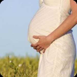 Долната част на корема по време на бременност