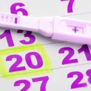 Онлайн тест за бременност: истина или лъжа