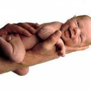 Основните характеристики на новородени