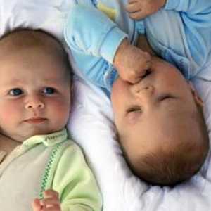 Характеристики на грижата и възпитанието на близнаци