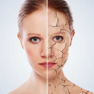 Особености грижи за суха кожа на лицето