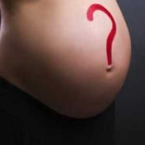 От какво се определя пола на бебето?