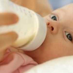 Новородено хранене: кога, как и какво да се хранят бебето до една година