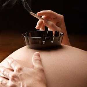 Ефекти на тютюнопушенето по време на бременността