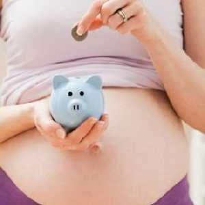 Обезщетение за майчинство и плащането на младата майка в 2013-2014 година