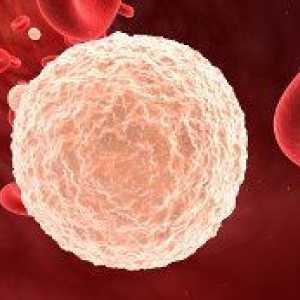 Брой Повишени на белите кръвни клетки при деца: причини и лечение