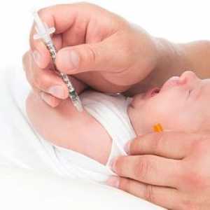 Противопоказания и правила за грижи за децата след БЦЖ ваксинация
