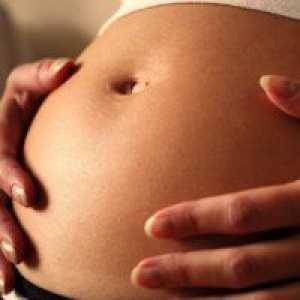 Развитие на бременността: 26 седмици