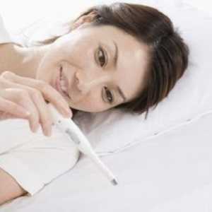 Ректална температура по време на бременност