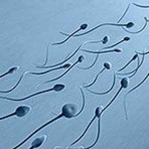Анализът на сперма резултати - качество и ключови показатели за ефективност