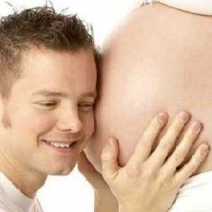 Плода движения през втората бременност